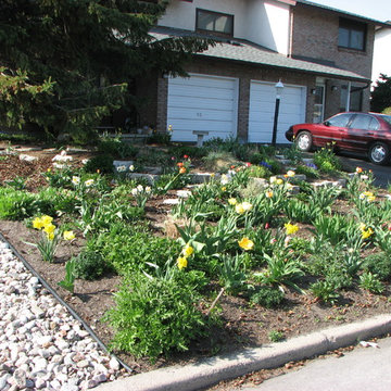 front yard