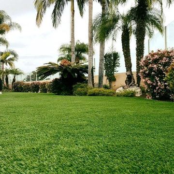 Palms and Turf