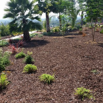 A Backyard Oasis
