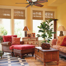 Ficus