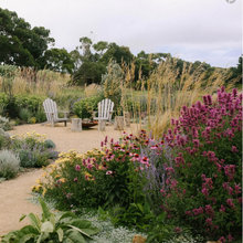 Landscape ideas