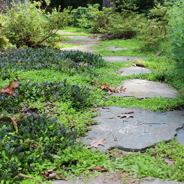 Landscape Revitalization