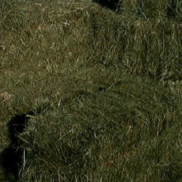 Hay & Straw