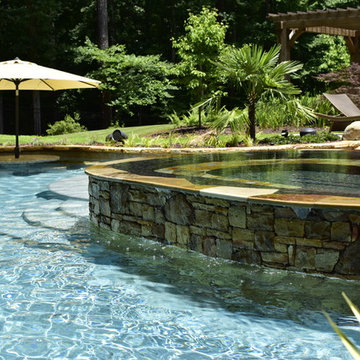 Natural freeform pool with Cave and Beach entry