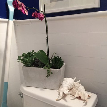 Nautical Bathroom-Bachelor Pad-Philadelphia, PA (Luxe for Less Package)