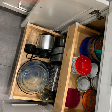 Rollout trays