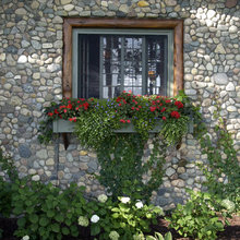 Window Boxes