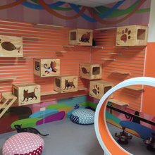Cats Design