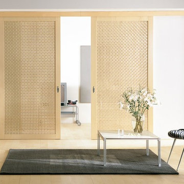 Contemporary Sliding barn Door Hardware