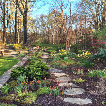 Birch Tree Garden