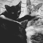 Katrina Snow's photo