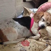 Beverly Howard's photo