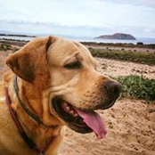 Lisa Lyall's photo