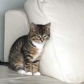 Foto de Mandy Demasson
