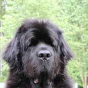 Clayton Girard's photo
