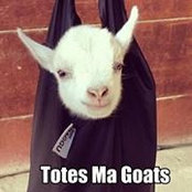 Amanda Davidson's photo