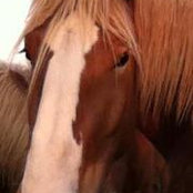 Foto von Cheryl Karguth