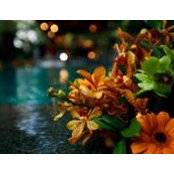 Sacrred Vows Sdn Bhd's photo