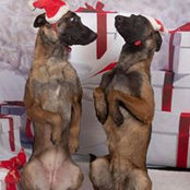 Jenny Rizzo's photo