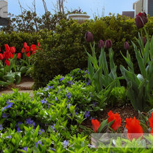 Landscaping Ideas