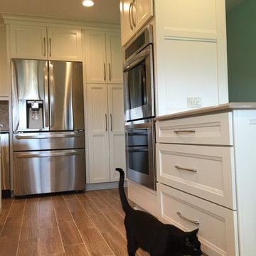 Large Mount Prospect Remodel