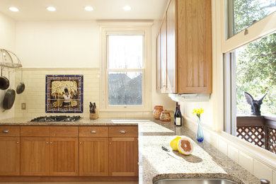 Kitchen - traditional kitchen idea in San Francisco