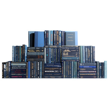 Modern Denim Book Wall, Set of 100