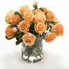 Waterlook® Peach Roses in Glass Cylinder