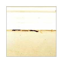 What problems occur during interior paint?