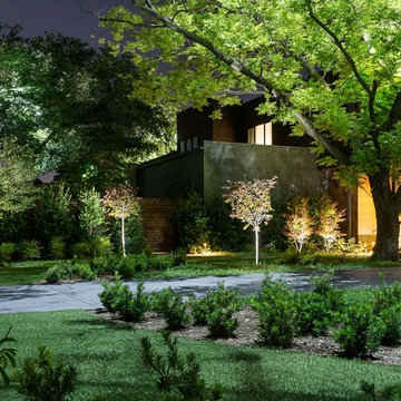 Dallas Residence 2017
