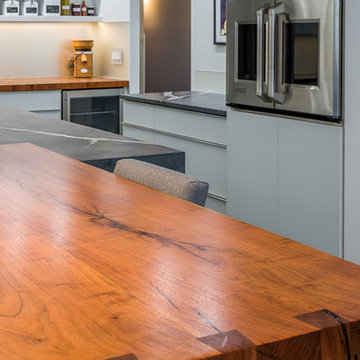 Lake Shore Drive Contemporary Gut Renovation