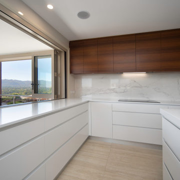 Modern Minimalist Kitchen/Dining/Outdoor