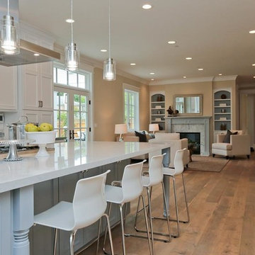 Great Room- Kitchen/ Family Room
