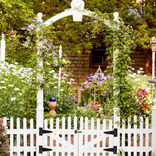 Backyard Ideas