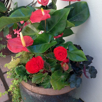 Container Garden