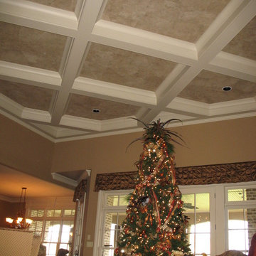 Ceiling Installs