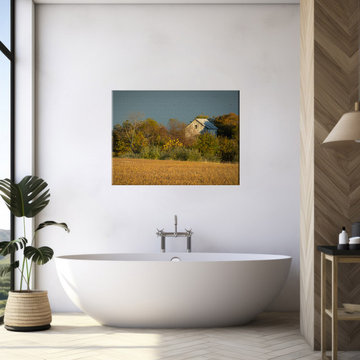 Abandoned Barn In The Trees Rustic Farmhouse Style Wall Art Prints