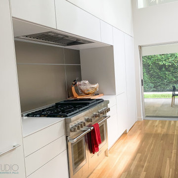 Ramos Kitchen Remodel