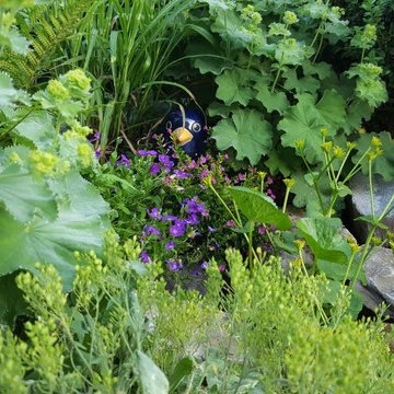 Blütenvielfalt im Hausgarten