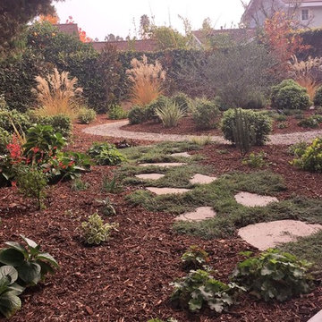 Turf removal Projects