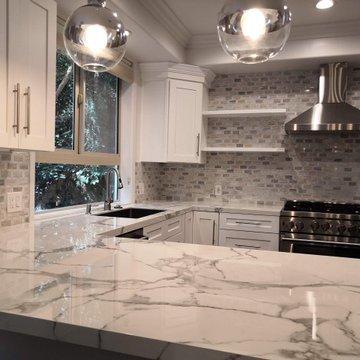 SHERMAN OAKS RENOVATION