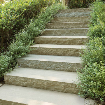 FRENCH LAUREL