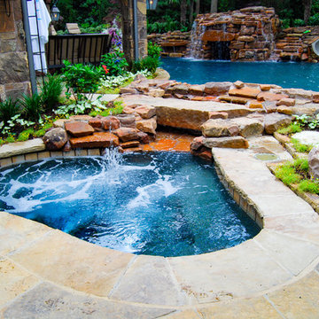 Dallas Natural Freeform Oasis