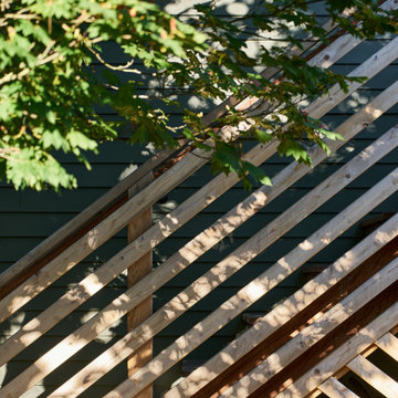 Ballard DADU Backyard Cottage