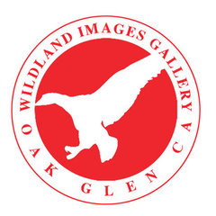 Wildland Images Gallery         (909) 790-5632