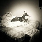 Annie Chen's photo