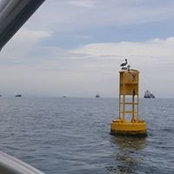 Foto de Gilberto Goti
