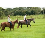 Camille Garnier's photo