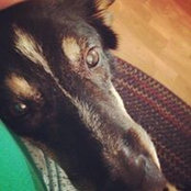 Emilie Glaw's photo