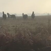 Foto von Sarah Austerberry